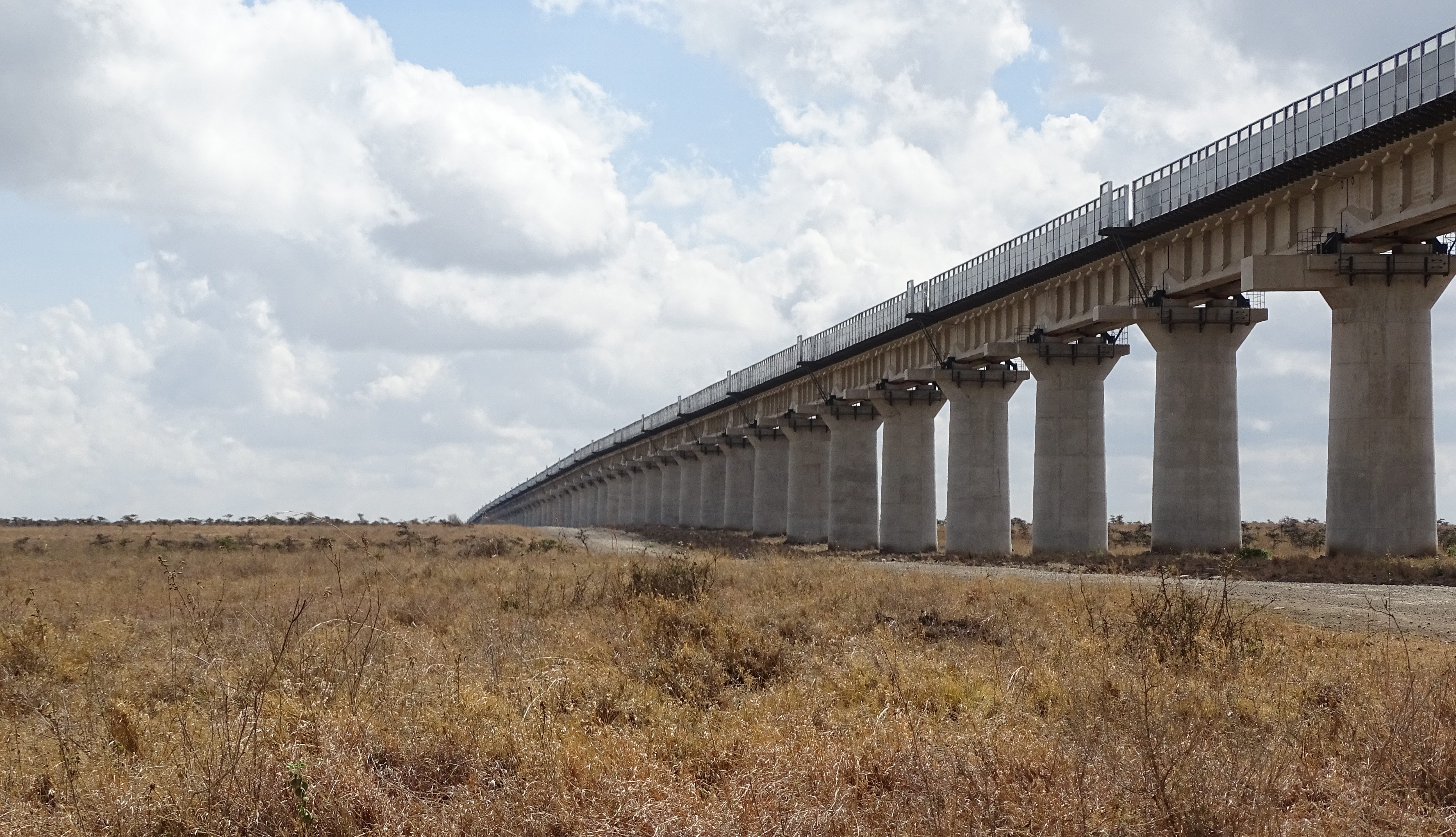 Kenya scoping study published